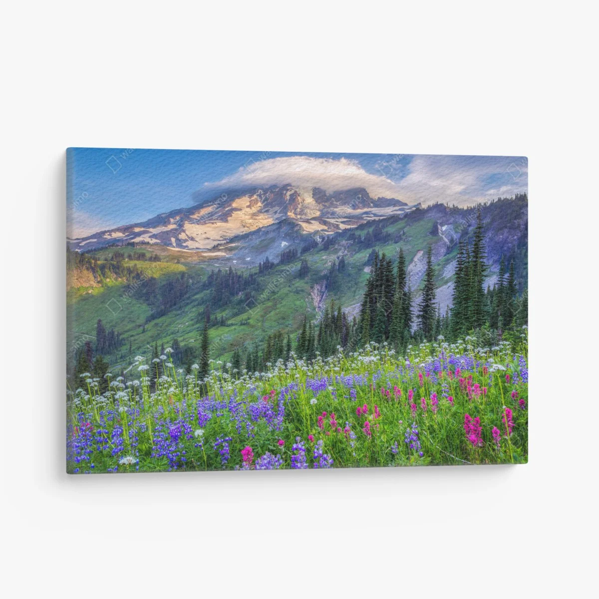 Quadro su tela prato alpino fiorito con vista sulla montagna • Wallissimo® Quadro su tela prato alpino fiorito con vista sulla montagna • Wallissimo®