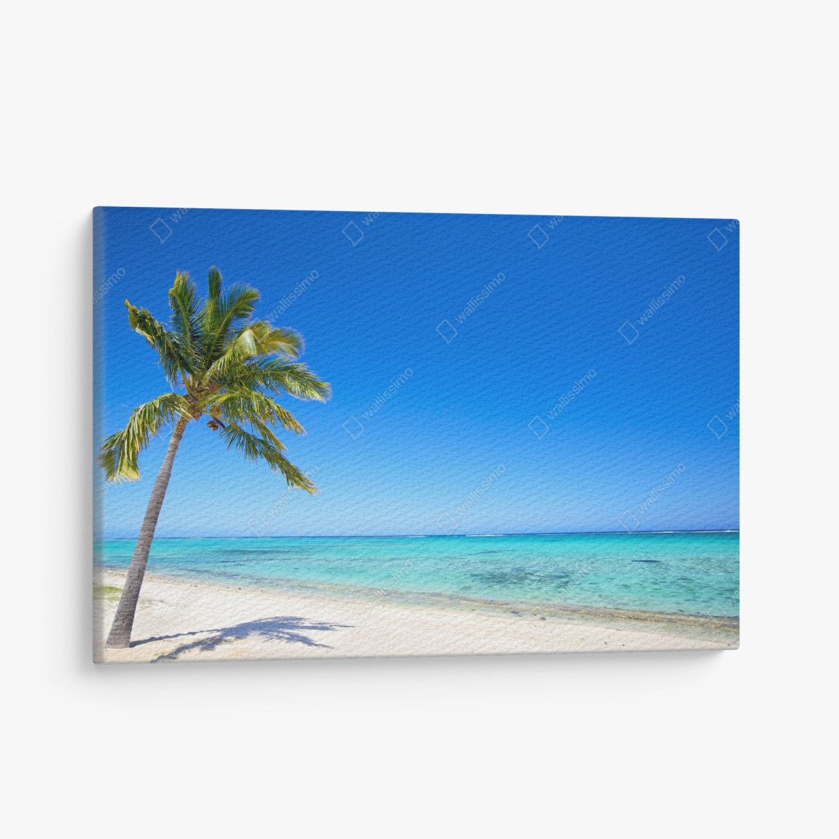 Quadro su tela oasi tropicale palma e mare turchese • Wallissimo®