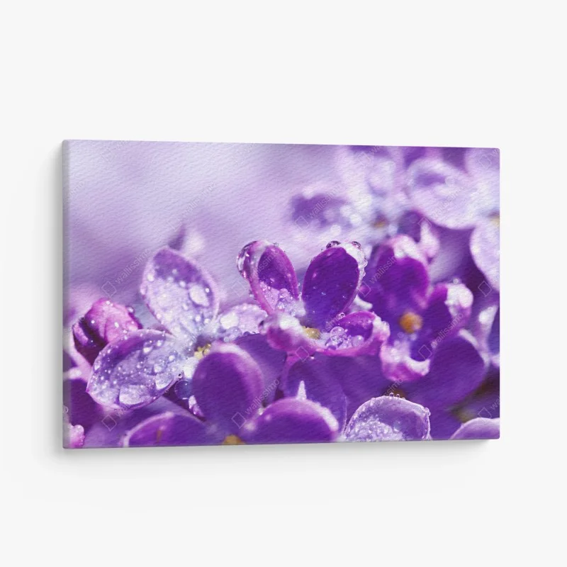 Quadro su tela fiori di lillà in rugiada