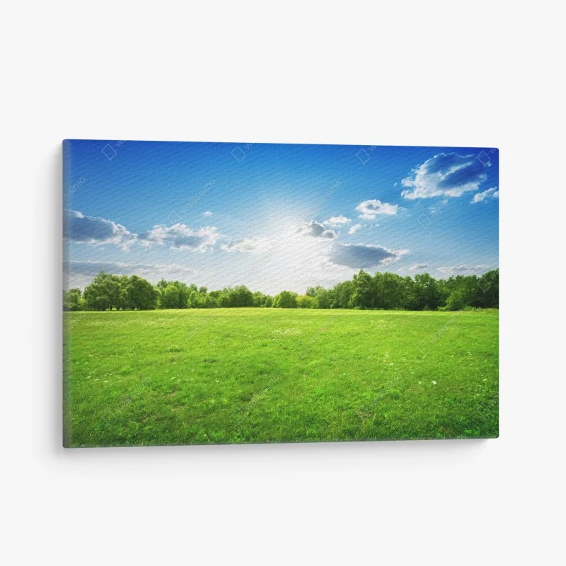 Quadro su tela prato verde sotto cielo azzurro