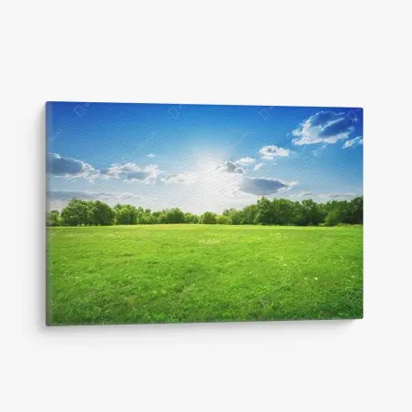 Quadro su tela prato verde sotto cielo azzurro • Wallissimo®