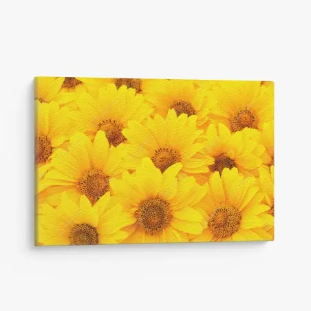 Quadro su tela esplosione di girasoli luminosi • Wallissimo®