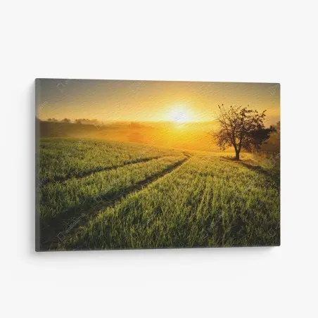 Quadro su tela alba dorata sulle colline • Wallissimo®