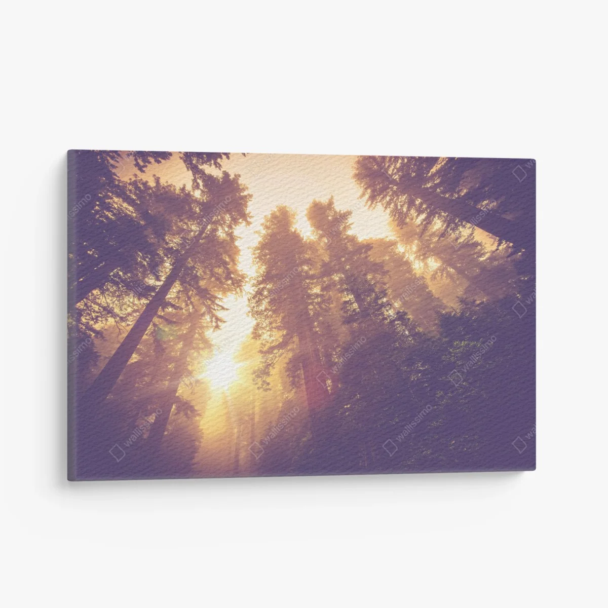 Quadro su tela foresta incantata al chiarore dorato • Wallissimo® Quadro su tela foresta incantata al chiarore dorato • Wallissimo®