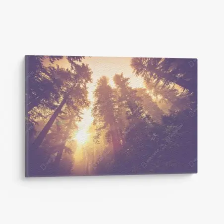 Quadro su tela foresta incantata al chiarore dorato • Wallissimo®