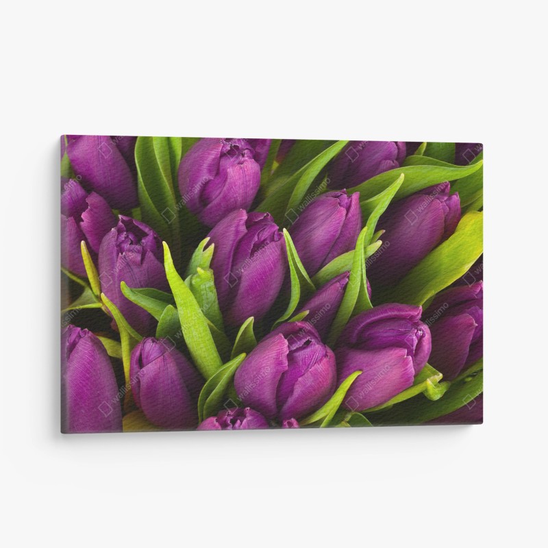 Quadro su tela bouquet di tulipani viola in primo piano