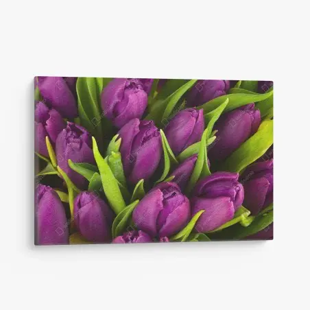 Quadro su tela bouquet di tulipani viola in primo piano • Wallissimo®