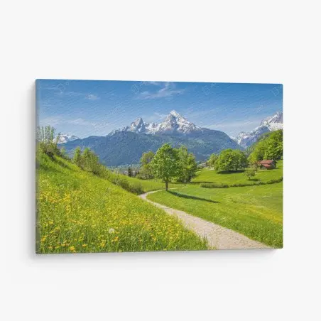 Quadro su tela paesaggio alpino con sentiero fiorito • Wallissimo®