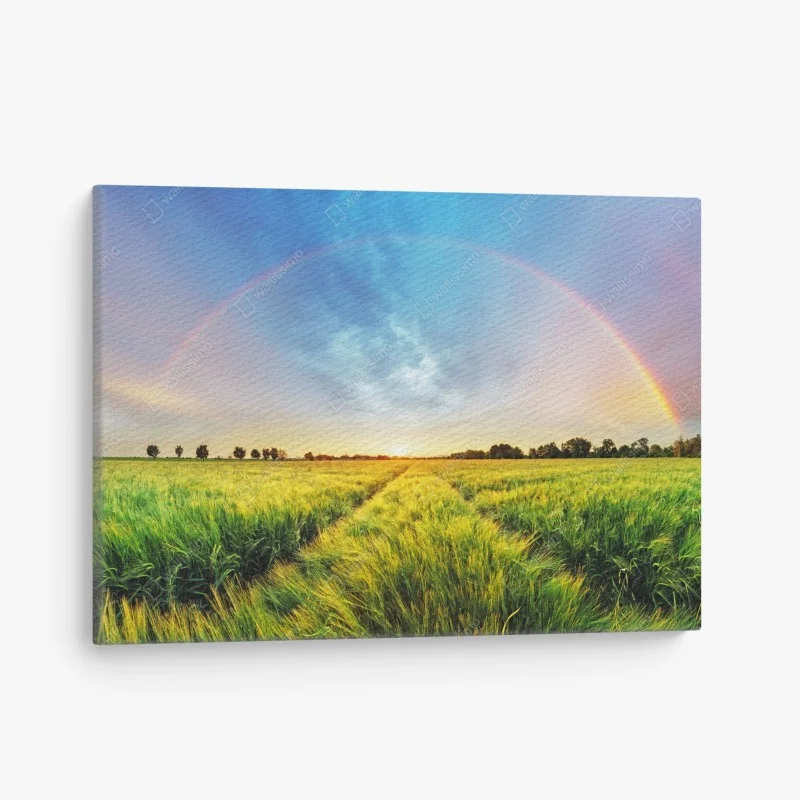 Quadro su tela campo di grano sotto un arcobaleno al tramonto