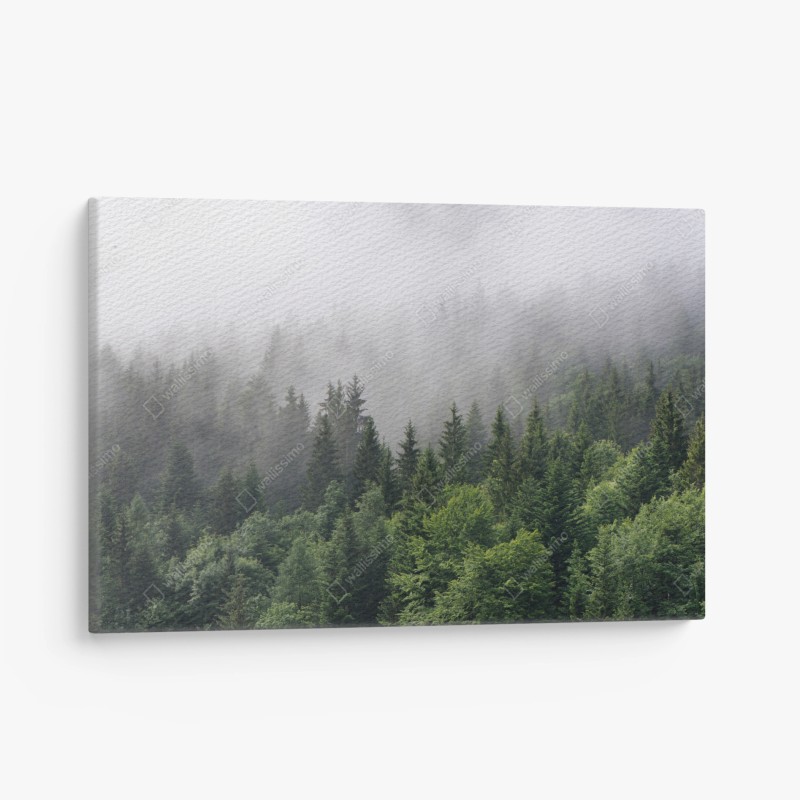 Quadro su tela sussurro di nebbia nella foresta