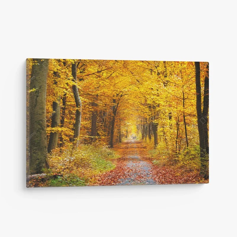 Quadro su tela sentiero autunnale tra gli alberi dorati
