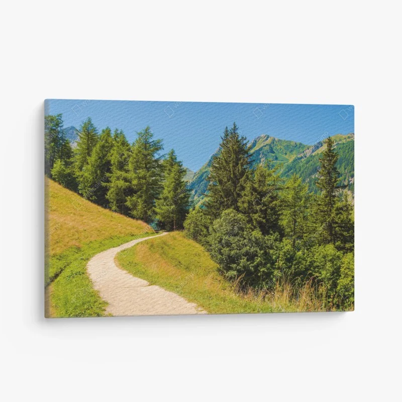 Quadro su tela sentiero estivo tra i pascoli delle Alpi Svizzere