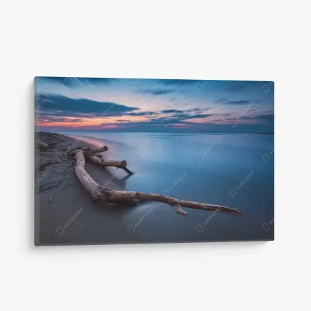 Quadro su tela tramonto sereno sulla spiaggia con tronco levigato • Wallissimo®