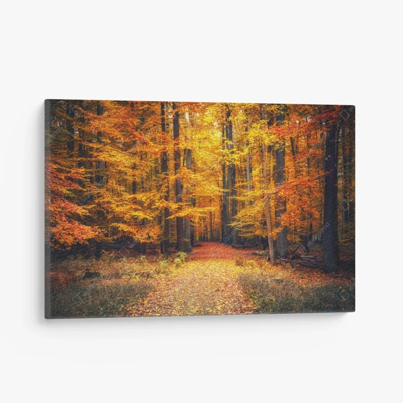 Quadro su tela sentiero nel bosco autunnale dorato