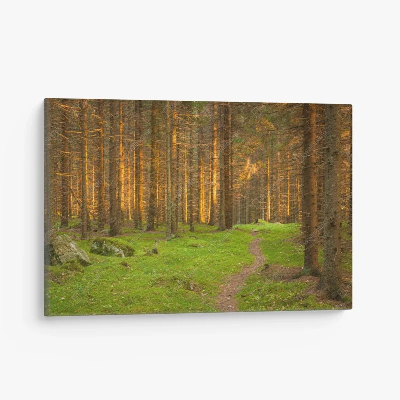 Quadro su tela sentiero nella foresta dorata