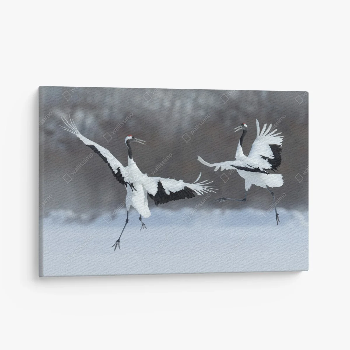 Quadro su tela danza delle gru di Hokkaido nella neve • Wallissimo® Quadro su tela danza delle gru di Hokkaido nella neve • Wallissimo®