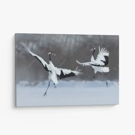 Quadro su tela danza delle gru di Hokkaido nella neve • Wallissimo®