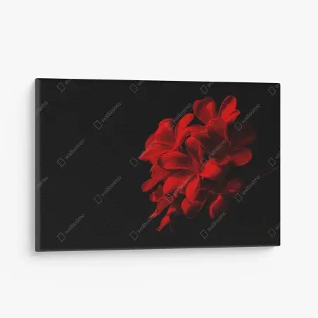 Quadro su tela plumeria rossa su sfondo nero, eleganza minimalista • Wallissimo®