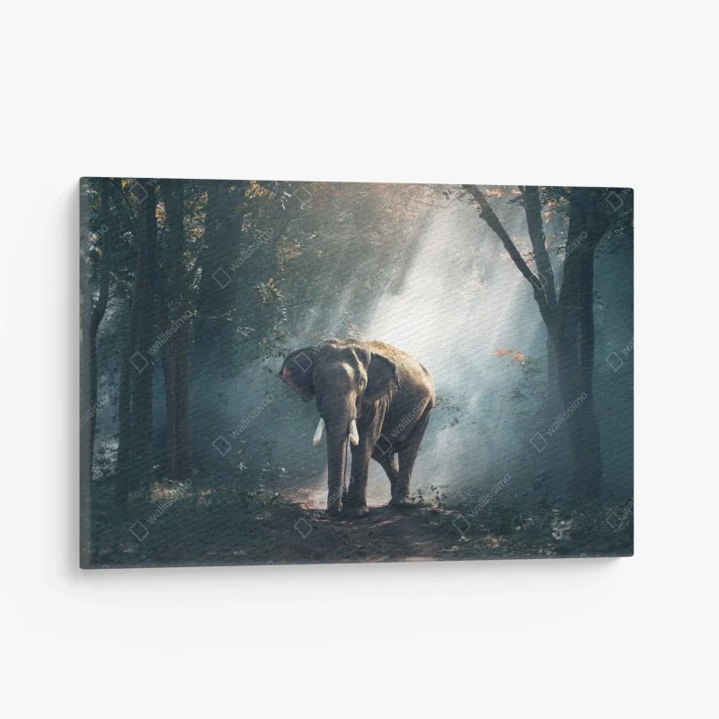 Quadro su tela elefante maestoso nella foresta illuminata