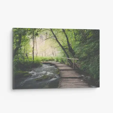 Quadro su tela sentiero di legno sulle acque del bosco • Wallissimo®