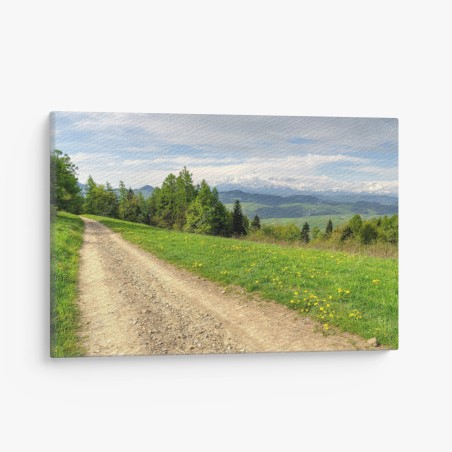 Quadro su tela sentiero primaverile nei Monti Gorce • Wallissimo®