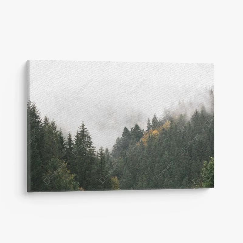 Quadro su tela nebbia tra gli abeti