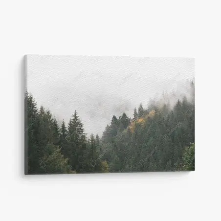 Quadro su tela nebbia tra gli abeti • Wallissimo®
