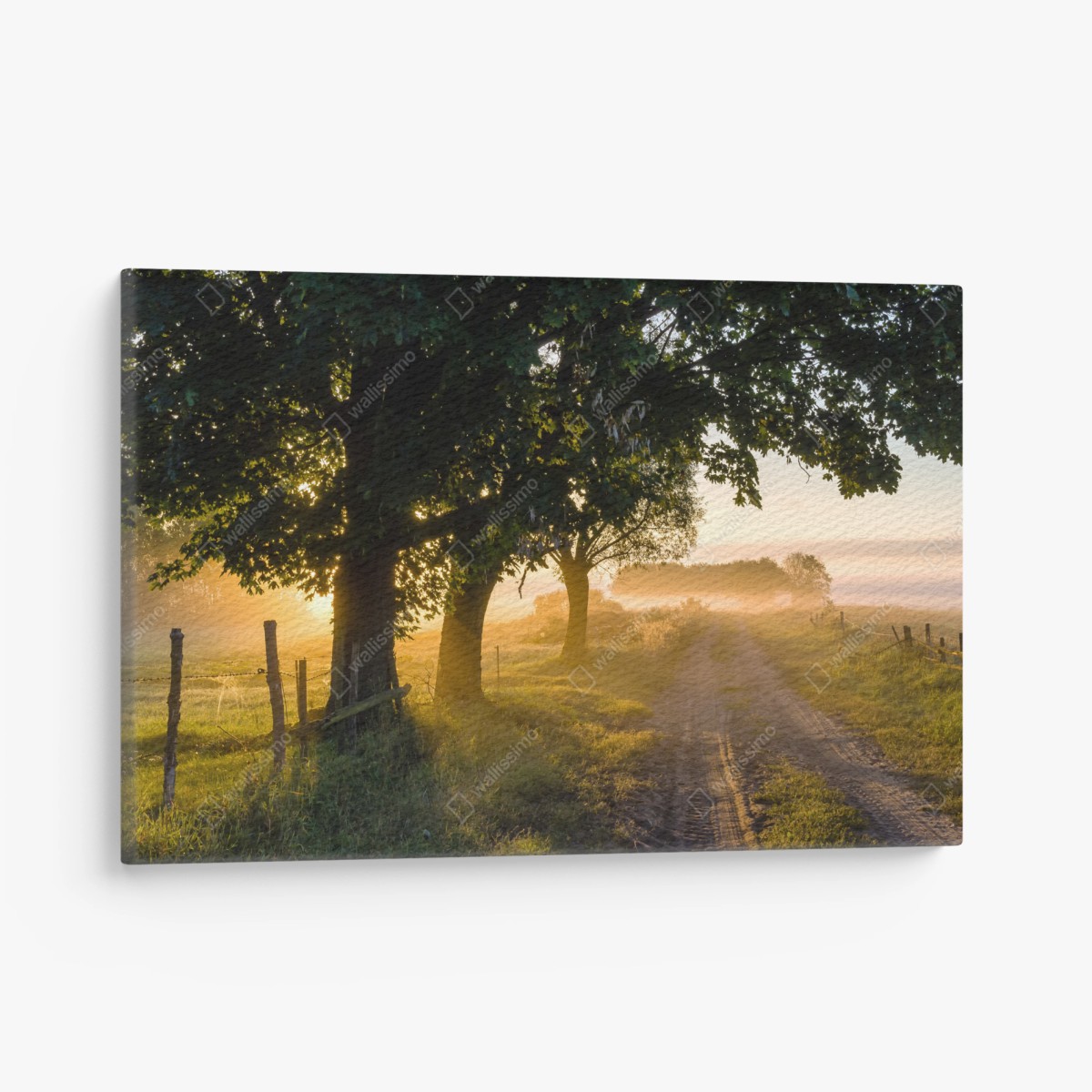 Quadro su tela alba dorata sul sentiero di campagna • Wallissimo®
