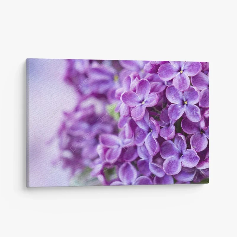 Quadro su tela lillà viola in primo piano