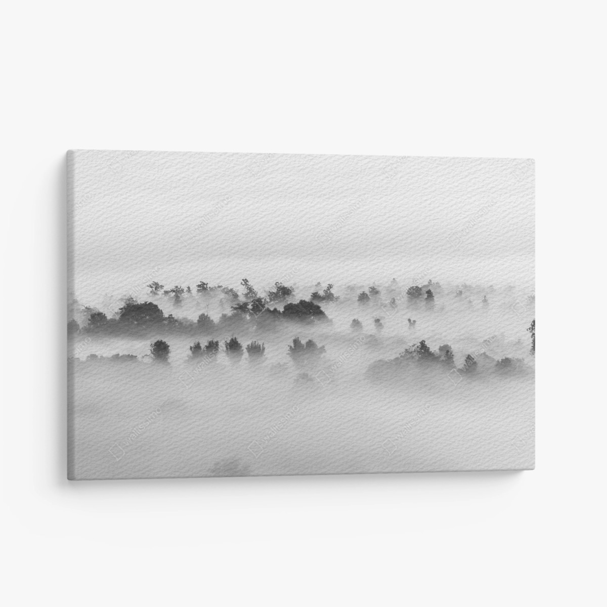 Quadro su tela mare di nuvole sulla foresta - minimalismo in bianco e nero • Wallissimo®