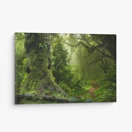 Quadro su tela foresta incantata: sentiero tra alberi secolari • Wallissimo®