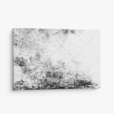 Quadro su tela texture grunge bianco e nero • Wallissimo®