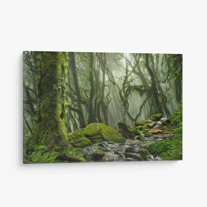 Quadro su tela foresta incantata di muschio e nebbia