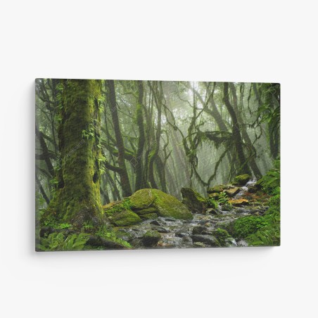 Quadro su tela foresta incantata di muschio e nebbia • Wallissimo®