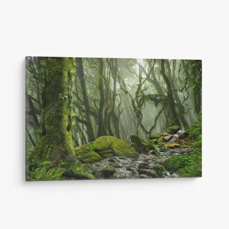 Quadro su tela foresta incantata di muschio e nebbia • Wallissimo®