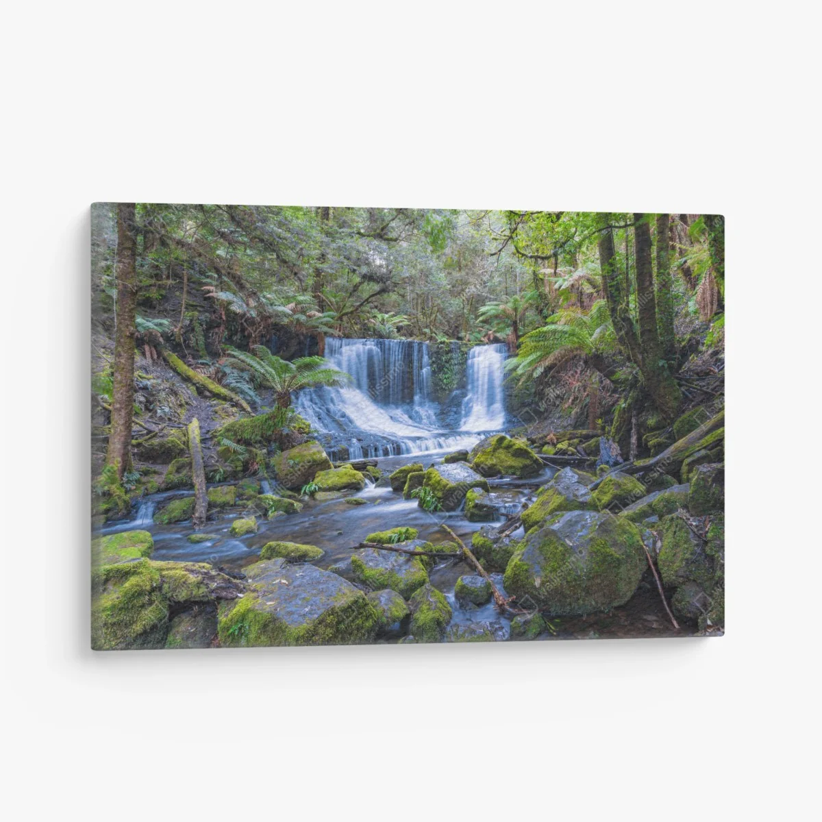 Quadro su tela cascata tra le felci nella foresta • Wallissimo® Quadro su tela cascata tra le felci nella foresta • Wallissimo®
