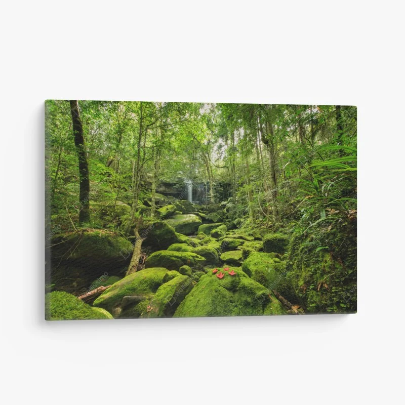 Quadro su tela oasi di muschio e cascata nella foresta pluviale