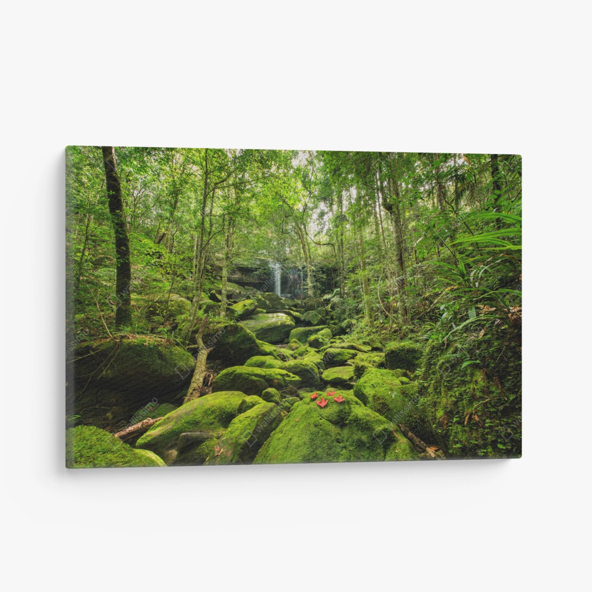 Quadro su tela oasi di muschio e cascata nella foresta pluviale • Wallissimo®