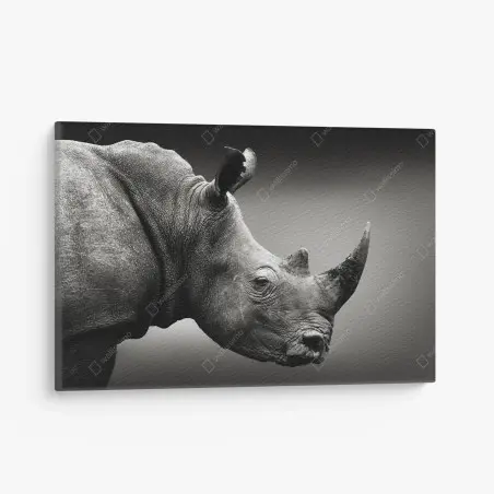 Quadro su tela ritratto monocromo di rinoceronte bianco del Sudafrica • Wallissimo®