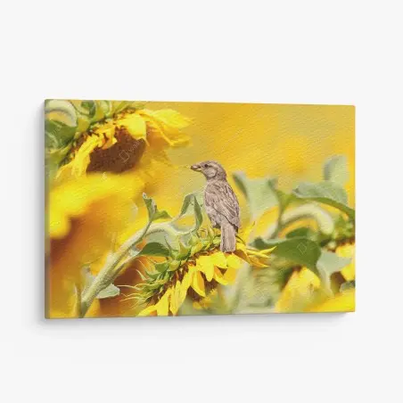 Quadro su tela passero sul girasole dorato • Wallissimo®