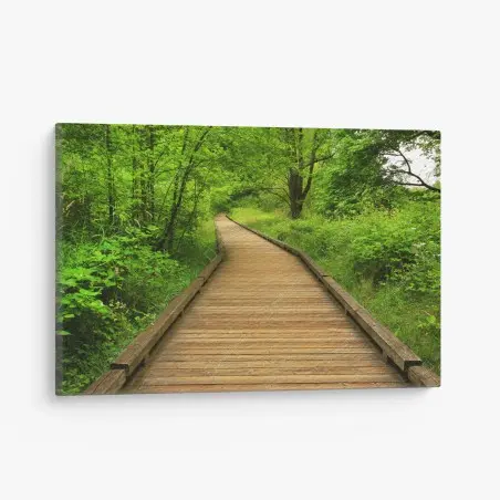 Quadro su tela sentiero di legno nella foresta verde • Wallissimo®