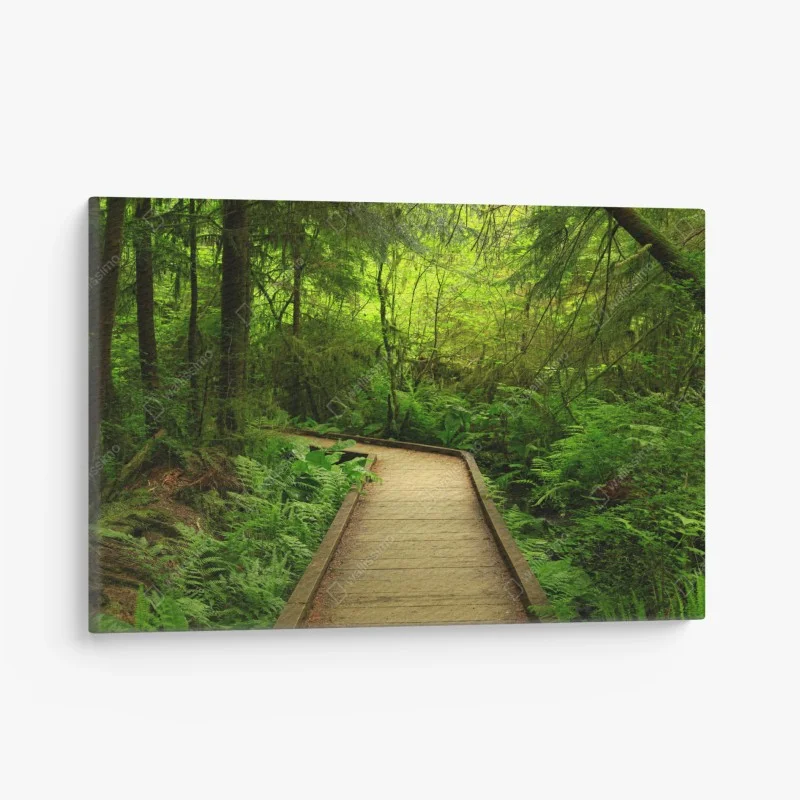Quadro su tela sentiero nel bosco verde