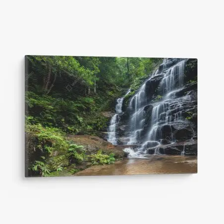 Quadro su tela cascata nella foresta lussureggiante • Wallissimo®