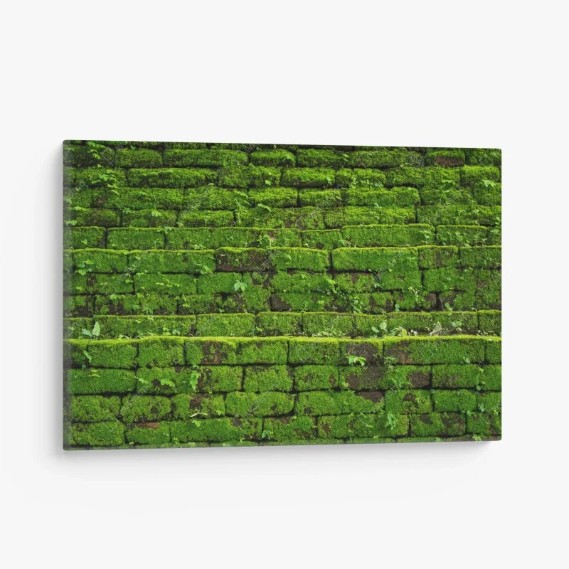 Quadro su tela muro verde di muschio per decorazione murale naturale