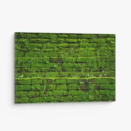 Quadro su tela muro verde di muschio per decorazione murale naturale • Wallissimo®