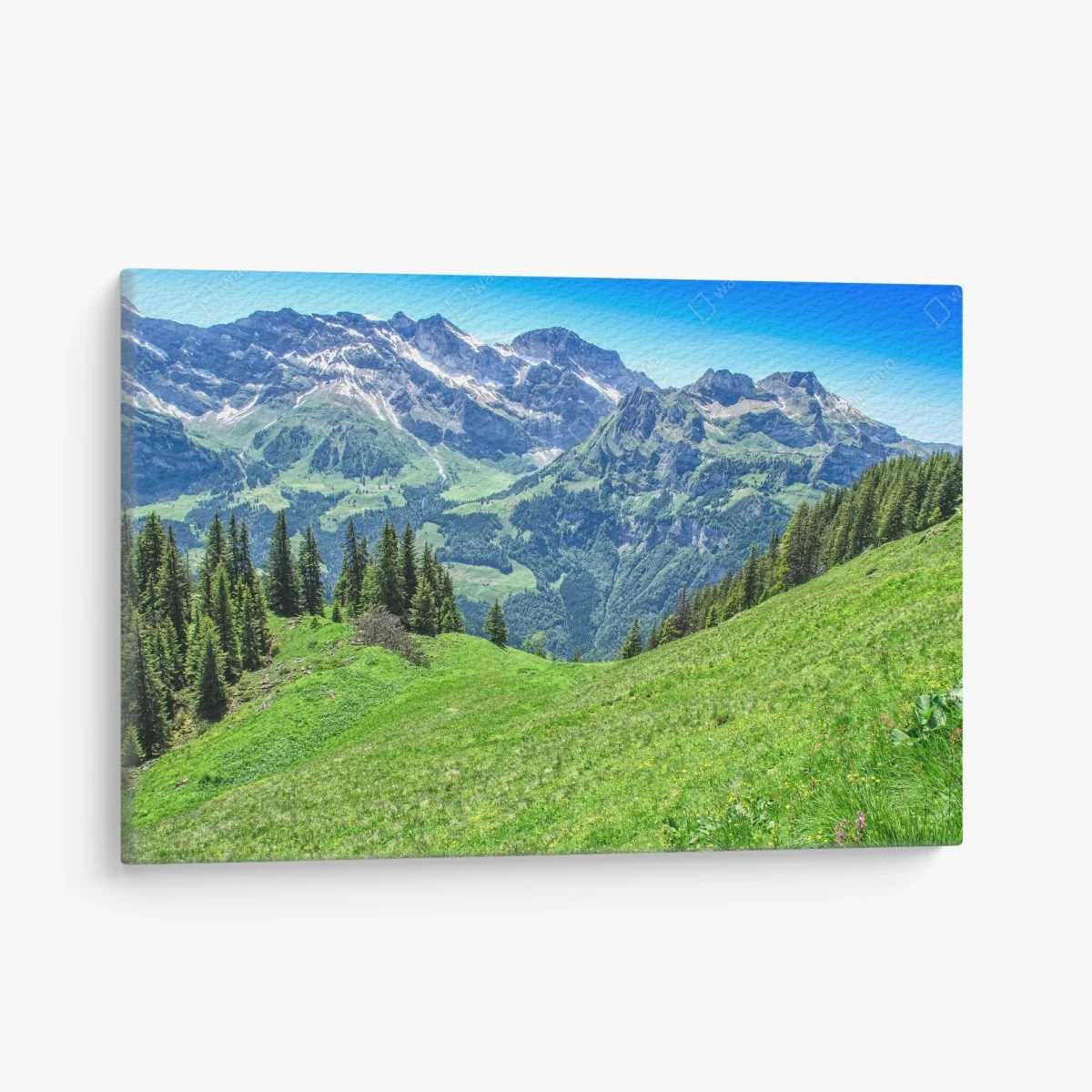 Quadro su tela panorama alpino estivo - Alpi Svizzere, Engelberg • Wallissimo® Quadro su tela panorama alpino estivo - Alpi Svizzere, Engelberg • Wallissimo®