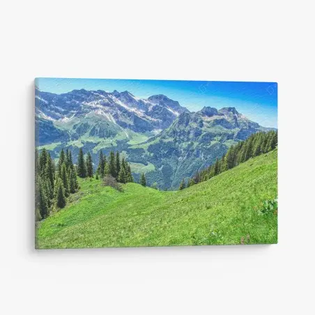 Quadro su tela panorama alpino estivo - Alpi Svizzere, Engelberg • Wallissimo®