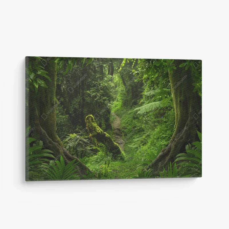 Quadro su tela sentiero incantato nella foresta pluviale