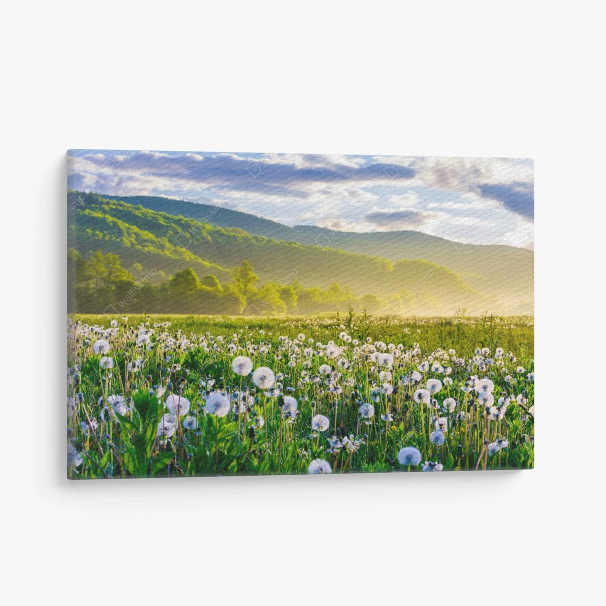Quadro su tela alba nel prato di soffioni • Wallissimo® Quadro su tela alba nel prato di soffioni • Wallissimo®