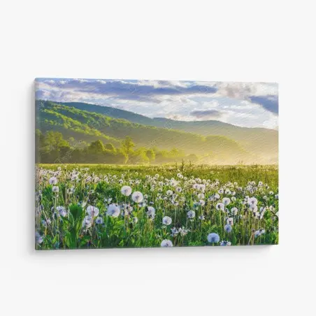 Quadro su tela alba nel prato di soffioni • Wallissimo®